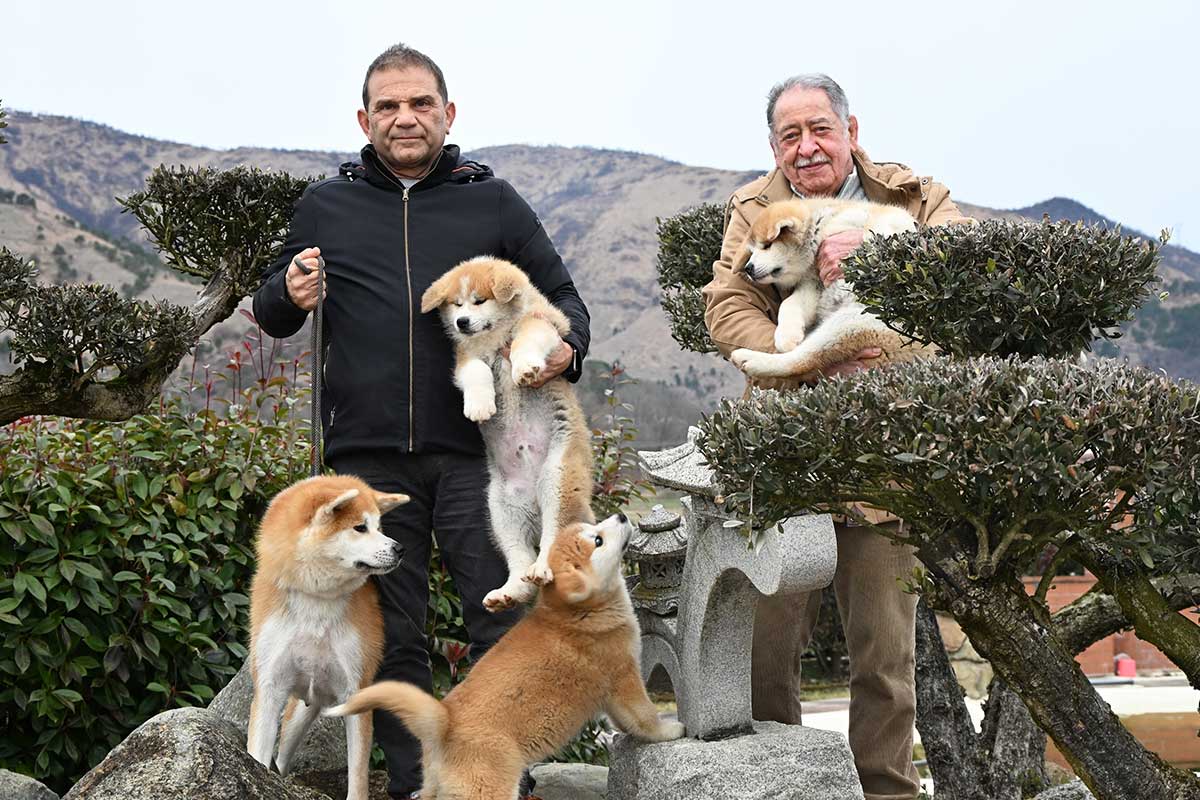 【真作】絵画　本荘赳　油彩10号　丹沢湖　春陽会　美情景　名品　O186 四季折々の鳥海山、水彩画をカレンダーに 由利本荘市の潟保さんが