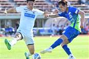 北秋田市五味堀の田んぼにクマ 歩行中の30代男性が目撃｜秋田魁新報