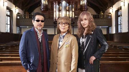 未使用 THE ALFEE ピック 2000年代 19セット 高見沢 桜井 坂崎 2025年最新】AlFEE ピックの人気アイテム - メルカリ