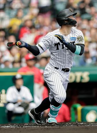 激レア】 佐藤輝明 選手 NPB 支給 実使用 バット - メルカリ
