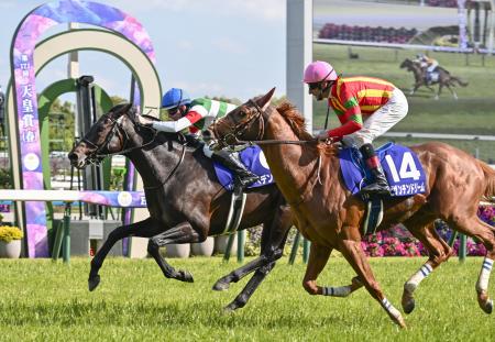 へデントール　メイクデビュー東京　現地単勝馬券　天皇賞・春制覇 天皇賞・春、ヘデントールが優勝 競馬、1番人気でG1初制覇