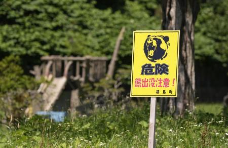北海道福島町でまたヒグマ 国道沿いの草やぶで1頭目撃｜秋田魁新報電子版