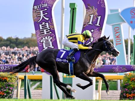 競馬ファン必見‼️超レア‼️第38回皐月賞優勝記念 競馬ファン必見‼️超レア‼️第38回皐月賞優勝記念