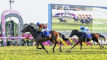 レガレイラが制覇、G1で3勝目 競馬のエリザベス女王杯｜秋田魁新報