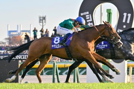 4番人気のカランダガンが優勝 競馬のジャパンカップ｜秋田魁新報電子版