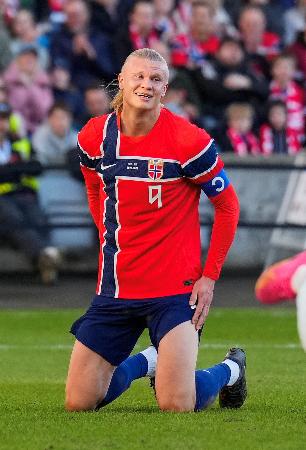 ハーランドら選出、ノルウェー W杯I組｜秋田魁新報電子版