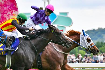 競馬で女性初のクラシック制覇 オークスの今村聖奈騎手｜秋田魁新報電子版
