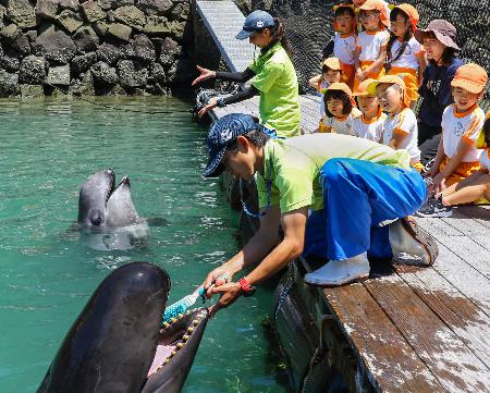 太地の博物館でクジラの歯磨き 洗車ブラシ使い健康PR｜秋田魁新報電子版