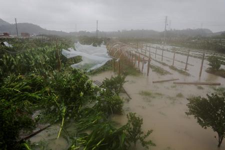 台風9号中国に上陸、多数避難 大雨や強風で交通機関に影響｜秋田魁